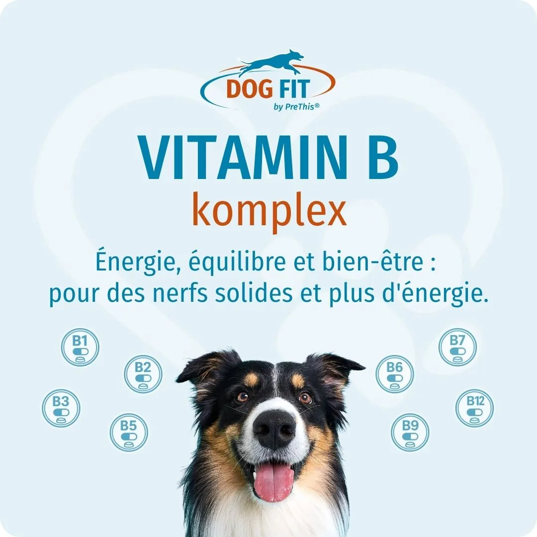 DOG FIT by PreThis® VITAMIN B medium – Élan, équilibre et bien-être