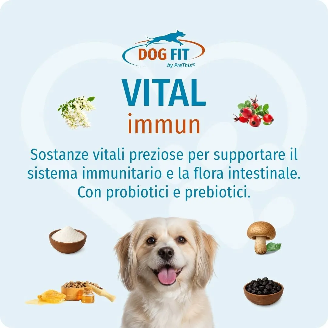 DOG FIT by PreThis® VITAL immun small – Sostanze vitali bioattive per il sistema immunitario e la flora intestinale
