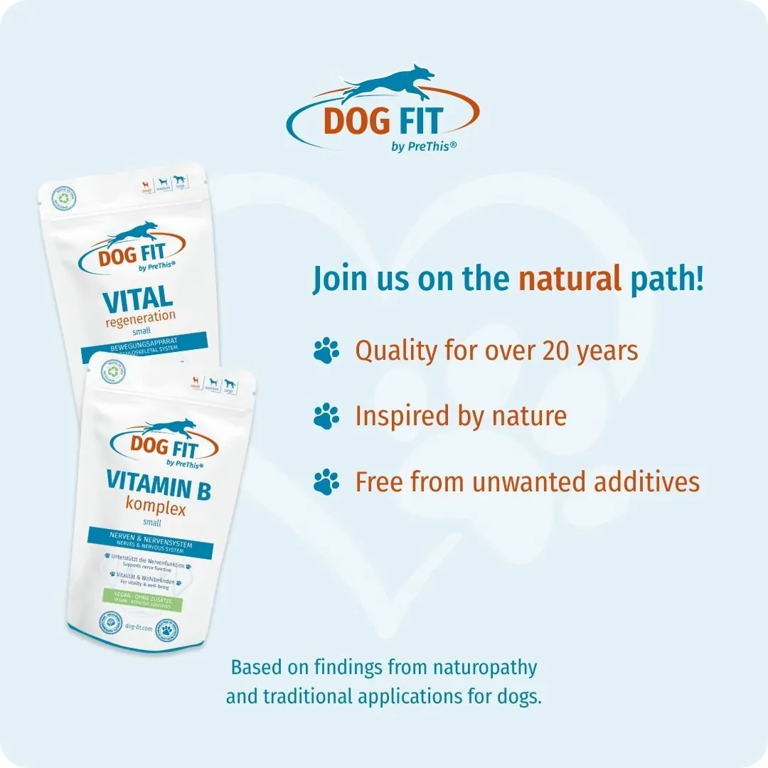 DOG FIT by PreThis® VITAMIN B & VITAL regeneration small – Quality and natural ingredients