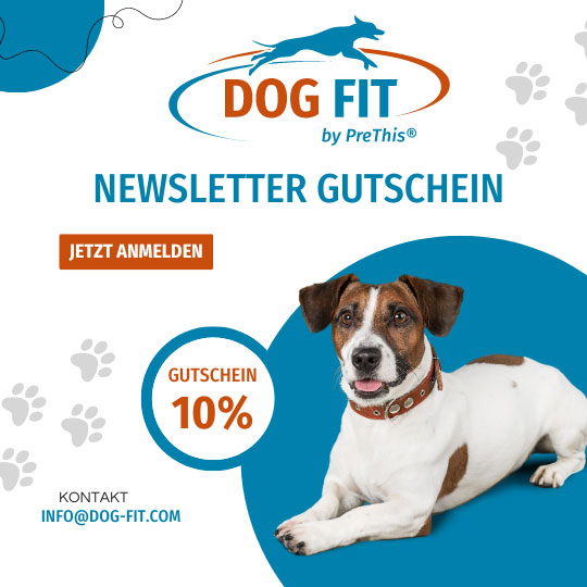 DOG FIT Newsletter – 10 % Gutschein sichern