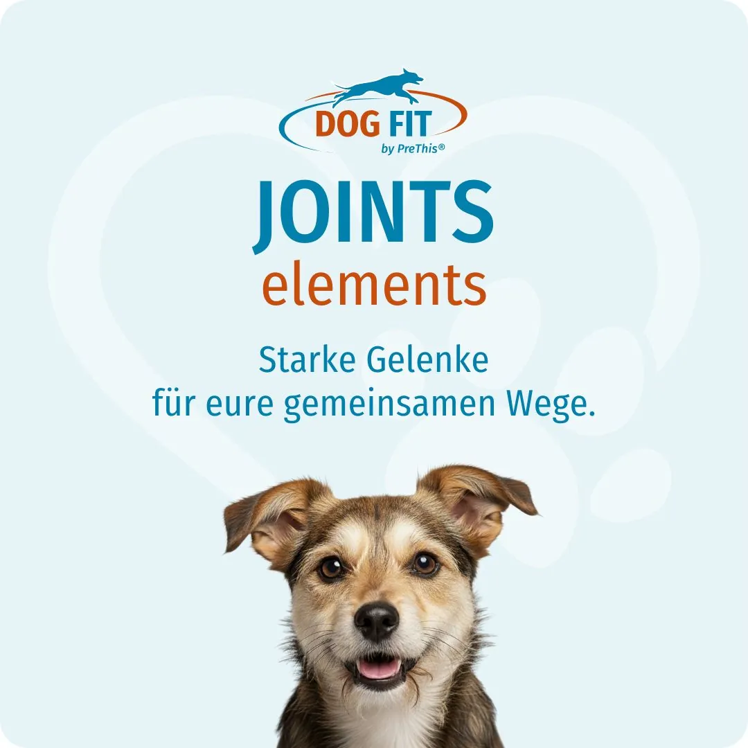 DOG FIT by PreThis® JOINTS elements small – Starke Gelenke für eure gemeinsamen Wege