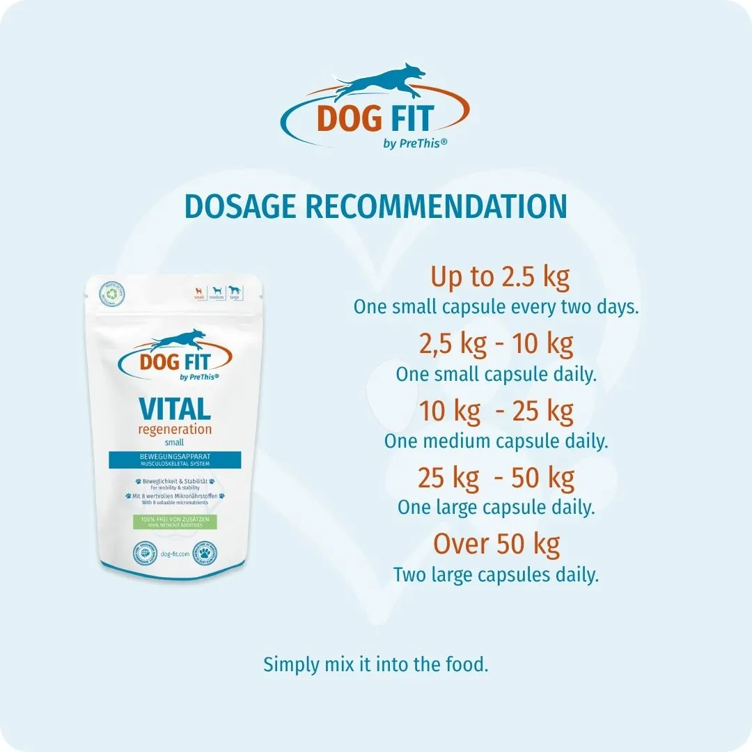 DOG FIT by PreThis® – Dosage recommendation VITAL regeneration small