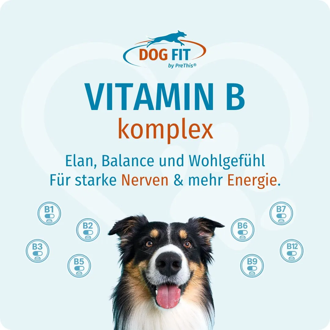 DOG FIT by PreThis® VITAMIN B medium – Elan, Balance und Wohlgefühl