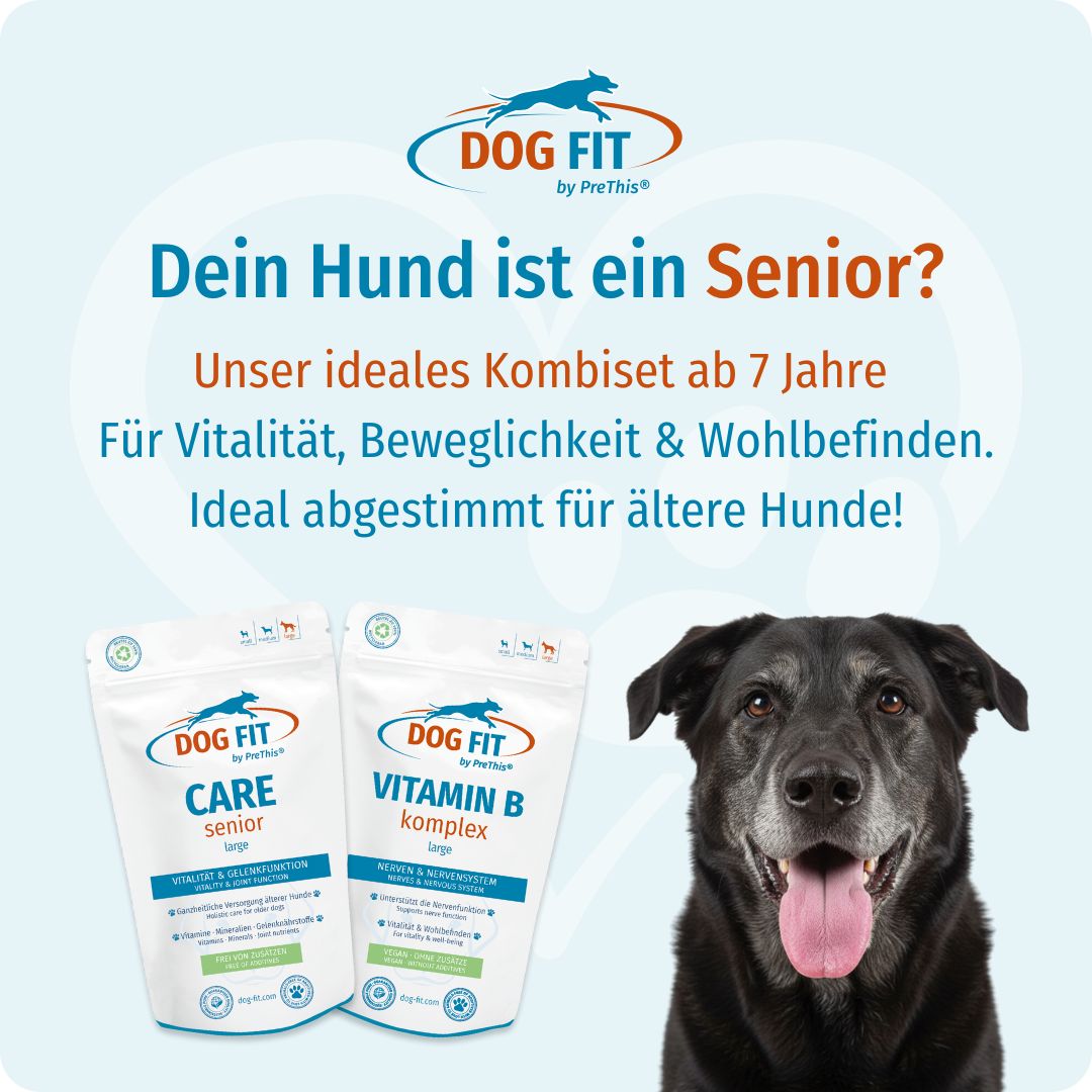 DOG FIT by PreThis® VITAMIN B & CARE senior large