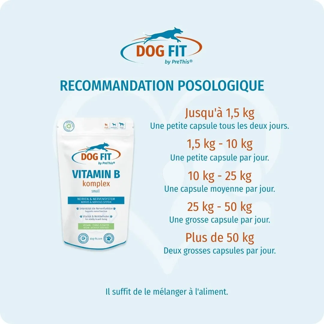 DOG FIT by PreThis® – Recommandation de dosage VITAMIN B small