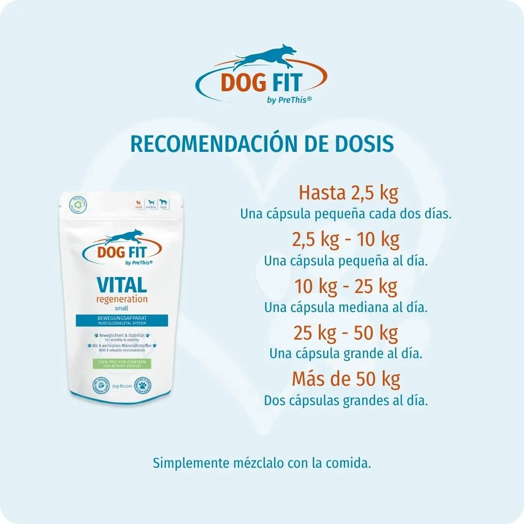 DOG FIT by PreThis® – Recomendación de dosis VITAL regeneration small