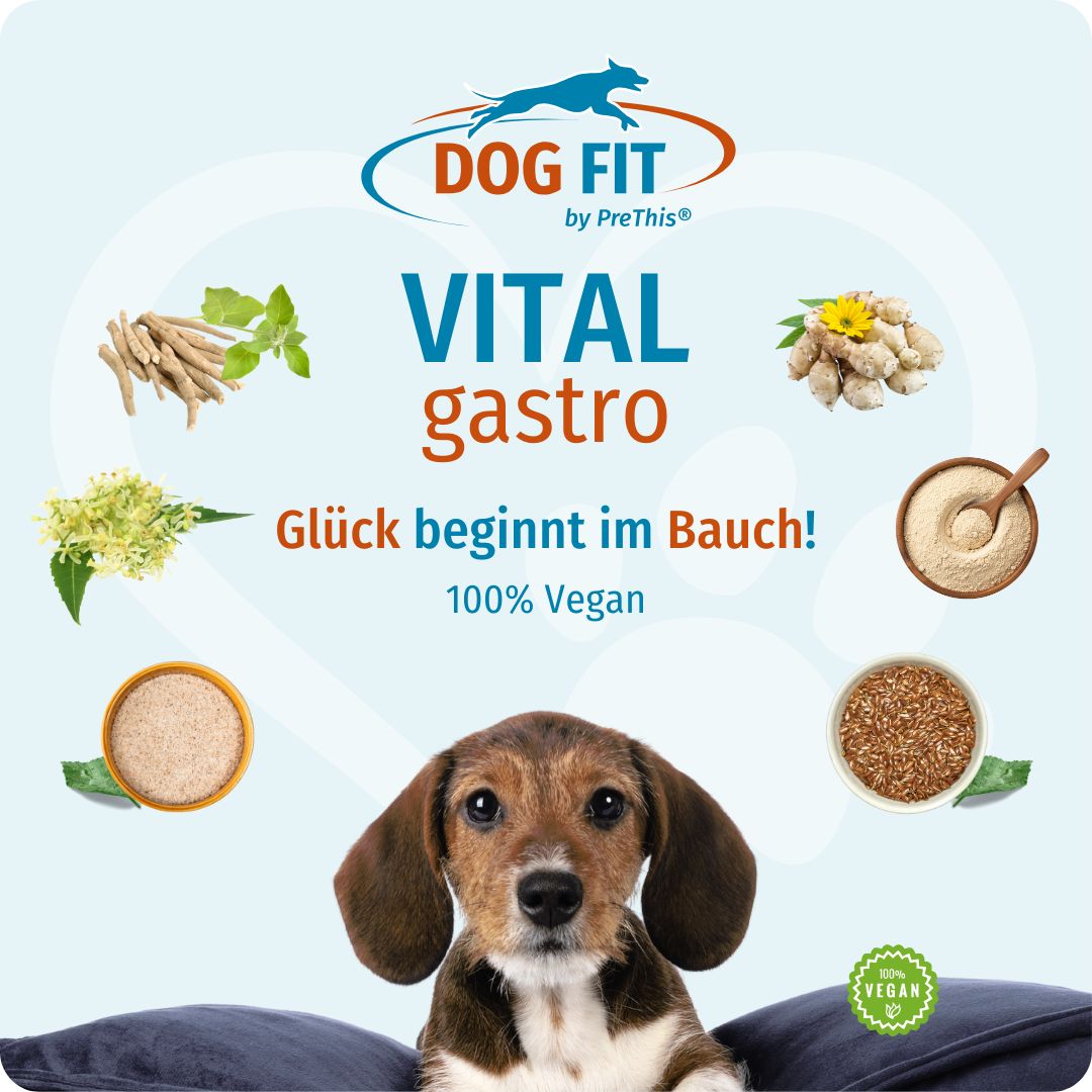 DOG FIT by PreThis® VITAL gastro