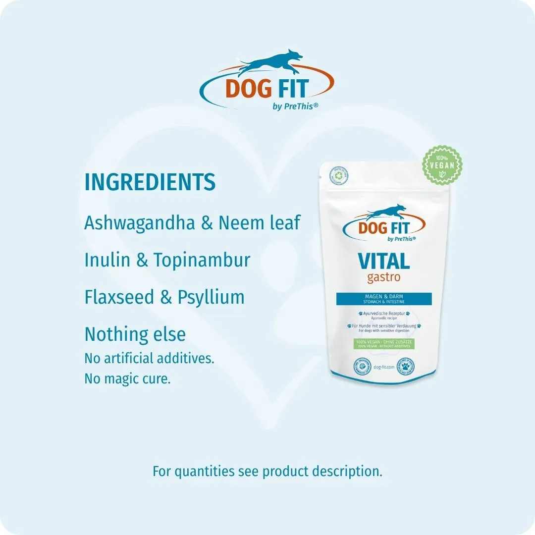 DOG FIT by PreThis® VITAL gastro – Ingredients and nutrients