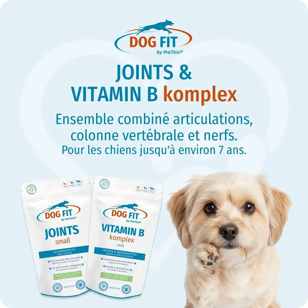 DOG FIT by PreThis® VITAMIN B & JOINTS small