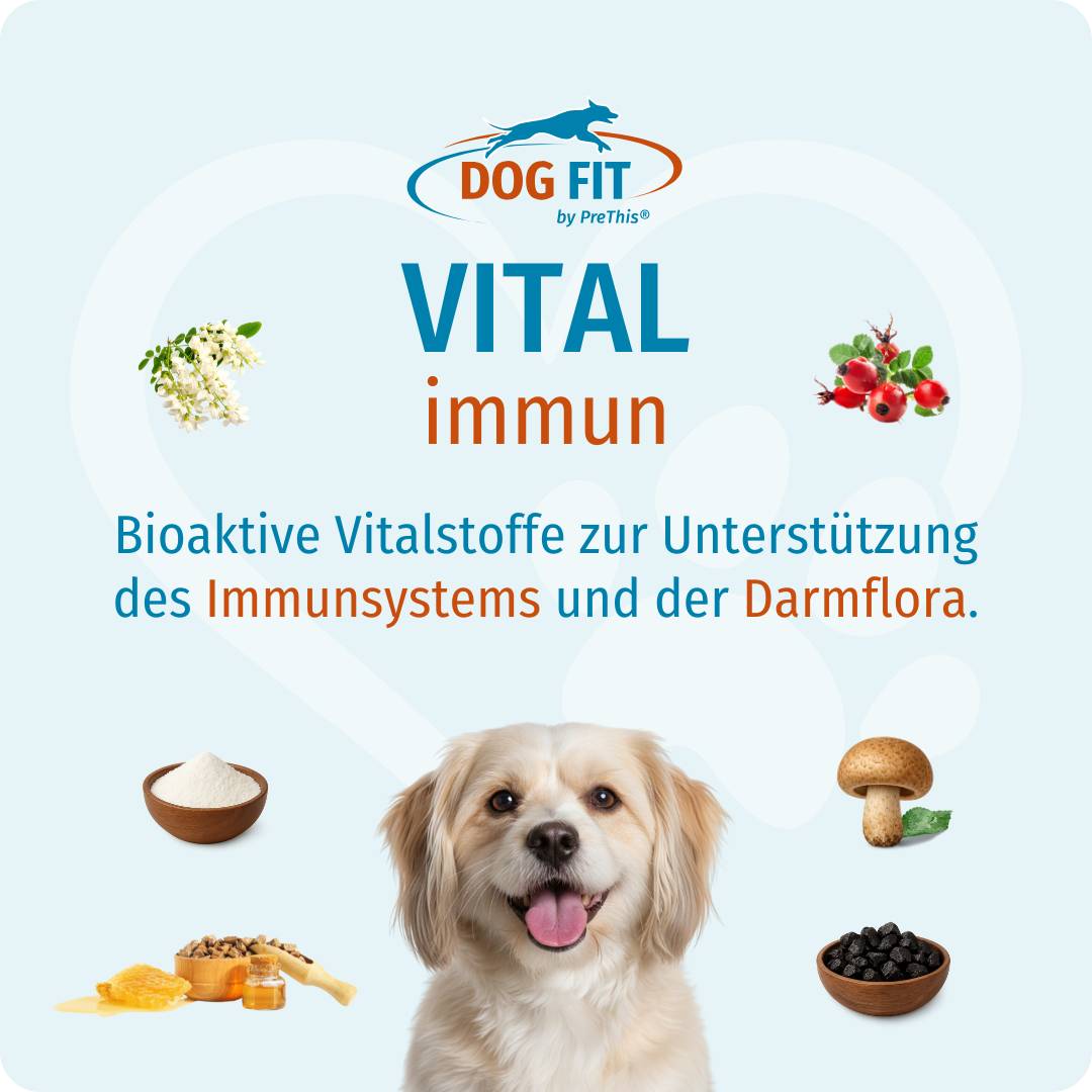 DOG FIT by PreThis® VITAL immun