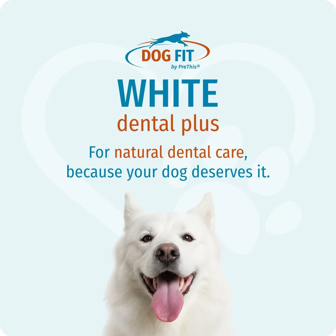 DOG FIT by PreThis® WHITE dental plus – For natural dental care