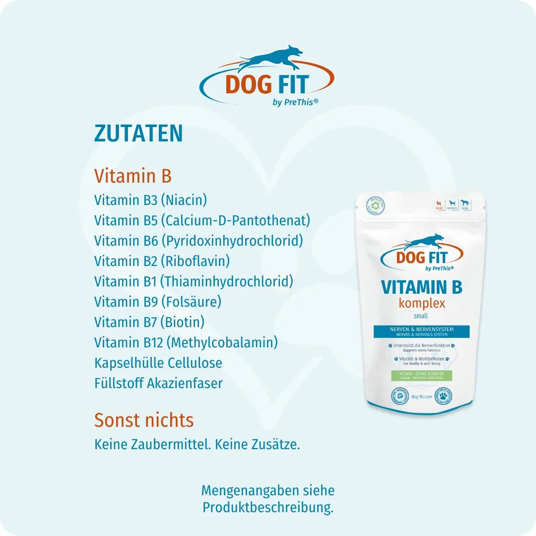 DOG FIT by PreThis® – Zutaten VITAMIN B small