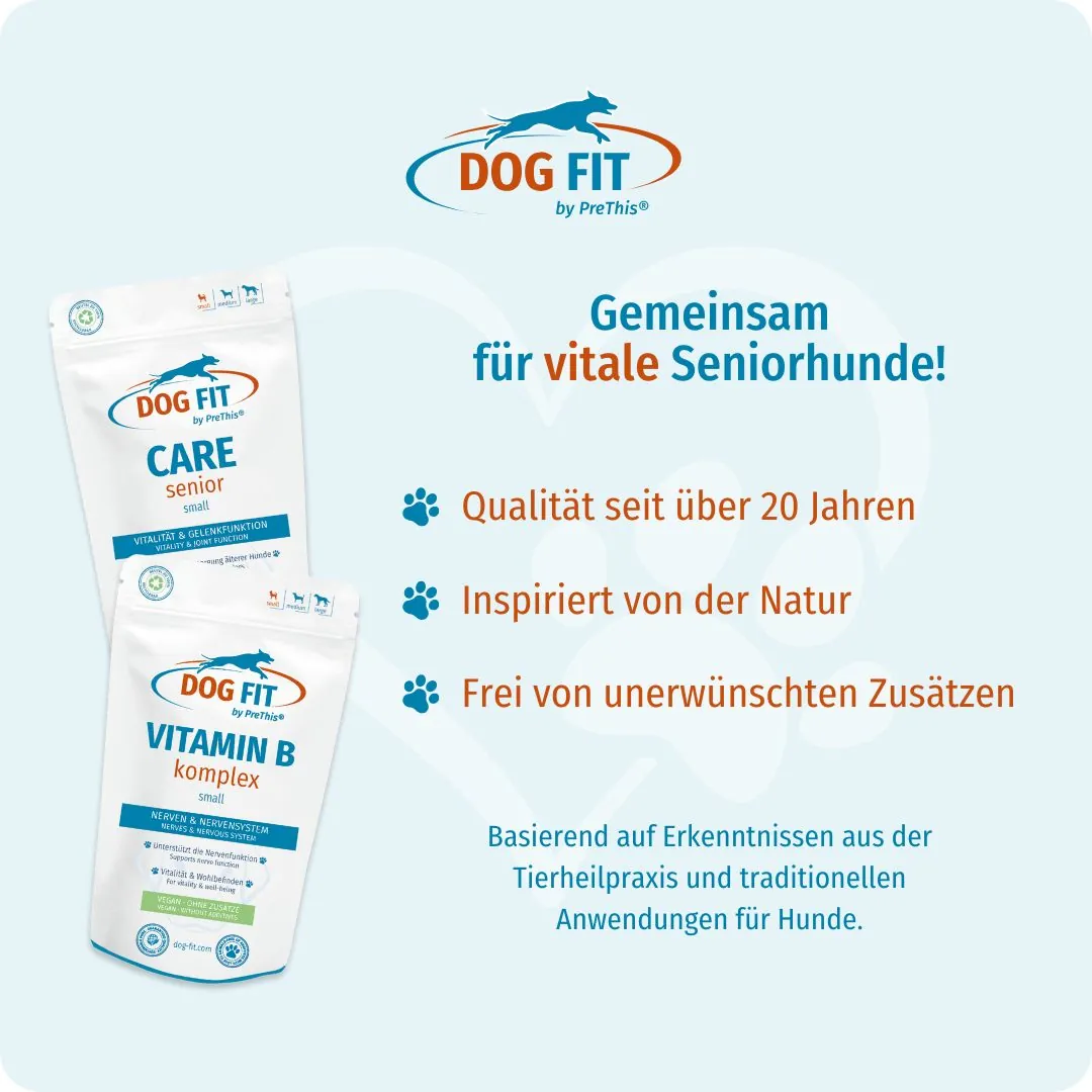 DOG FIT by PreThis® VITAMIN B & CARE senior small – Qualität und natürliche Zutaten
