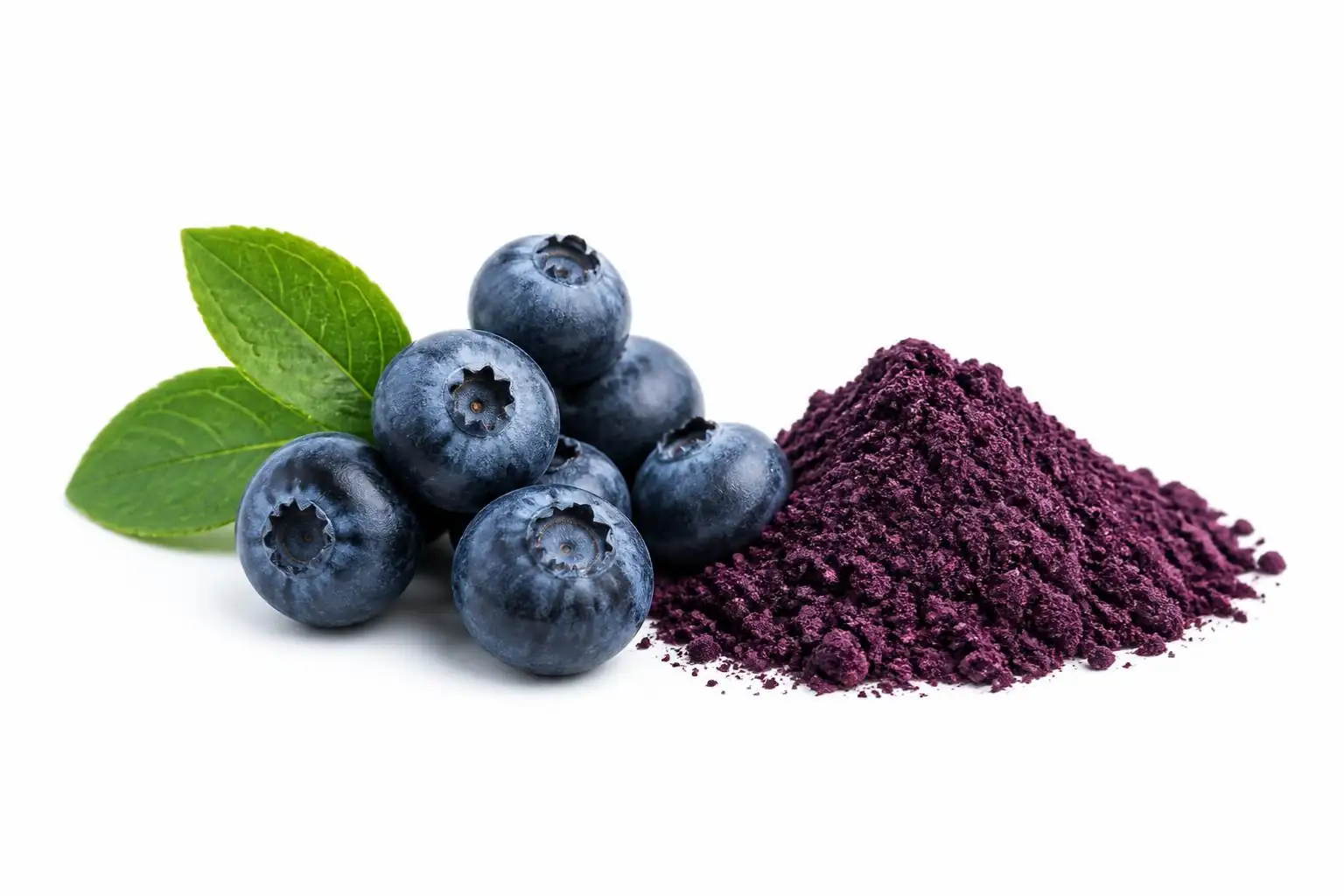 Heidelbeere für Hunde