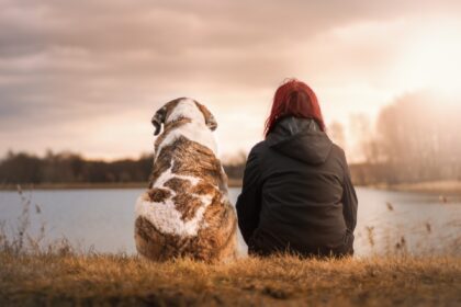A dog wants to comfort