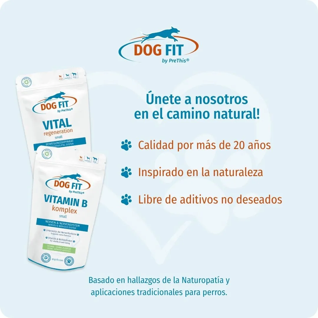 DOG FIT by PreThis® VITAMIN B & VITAL regeneration small – Calidad e ingredientes naturales