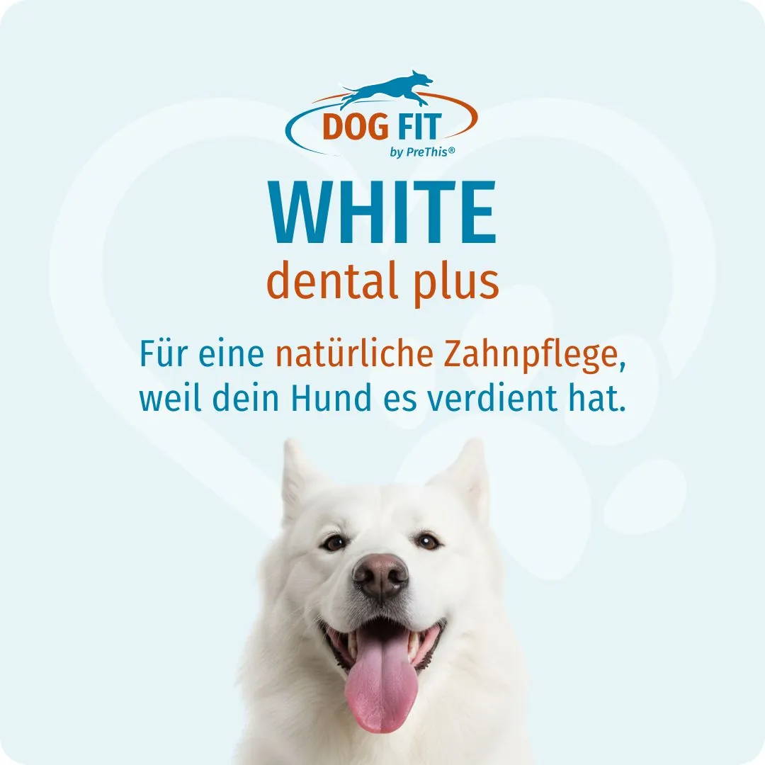 DOG FIT by PreThis® WHITE dental plus – Für eine natürliche Zahnpflege