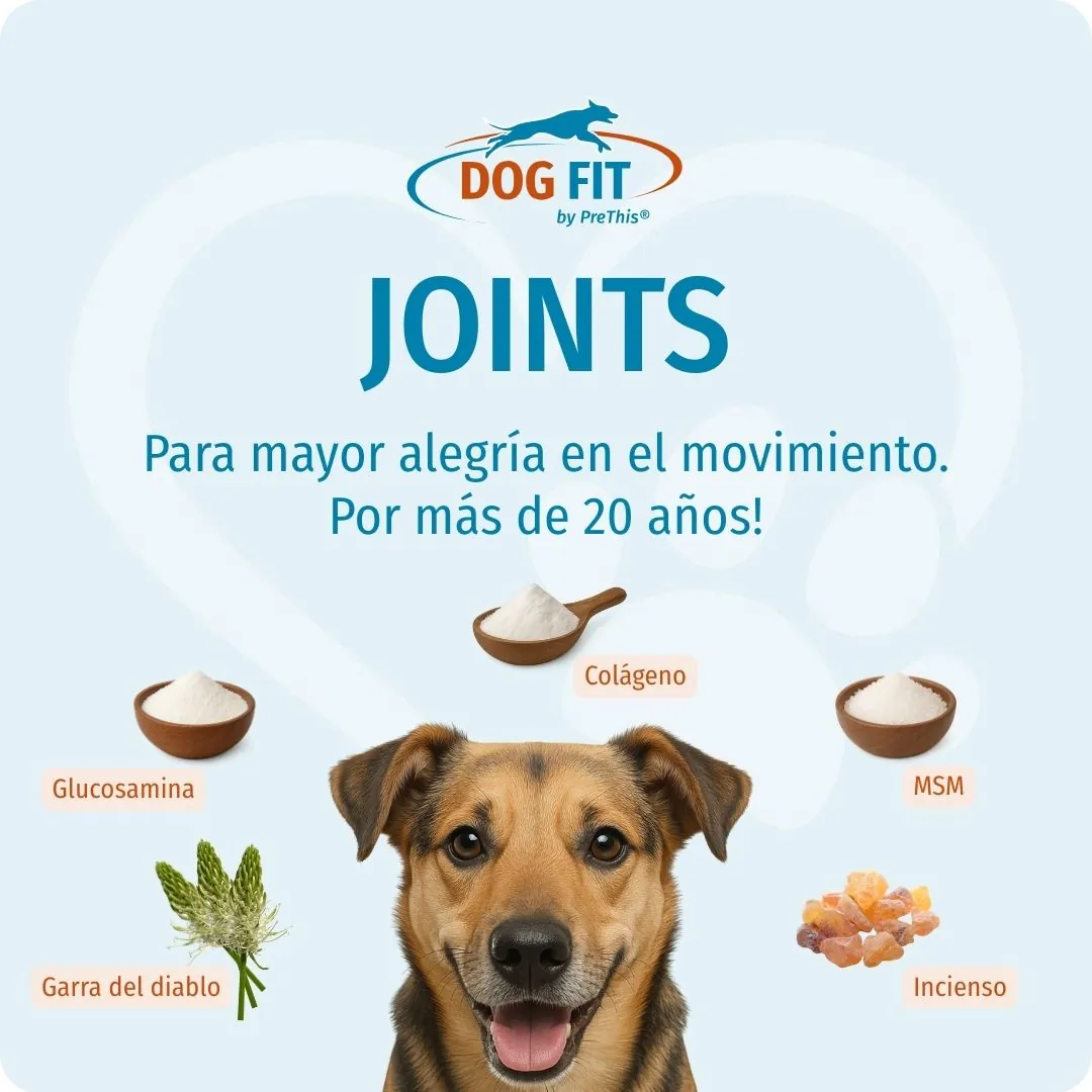 DOG FIT by PreThis® JOINTS medium – Para disfrutar más del movimiento