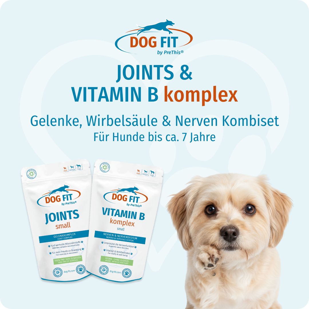 DOG FIT by PreThis® VITAMIN B & JOINTS small