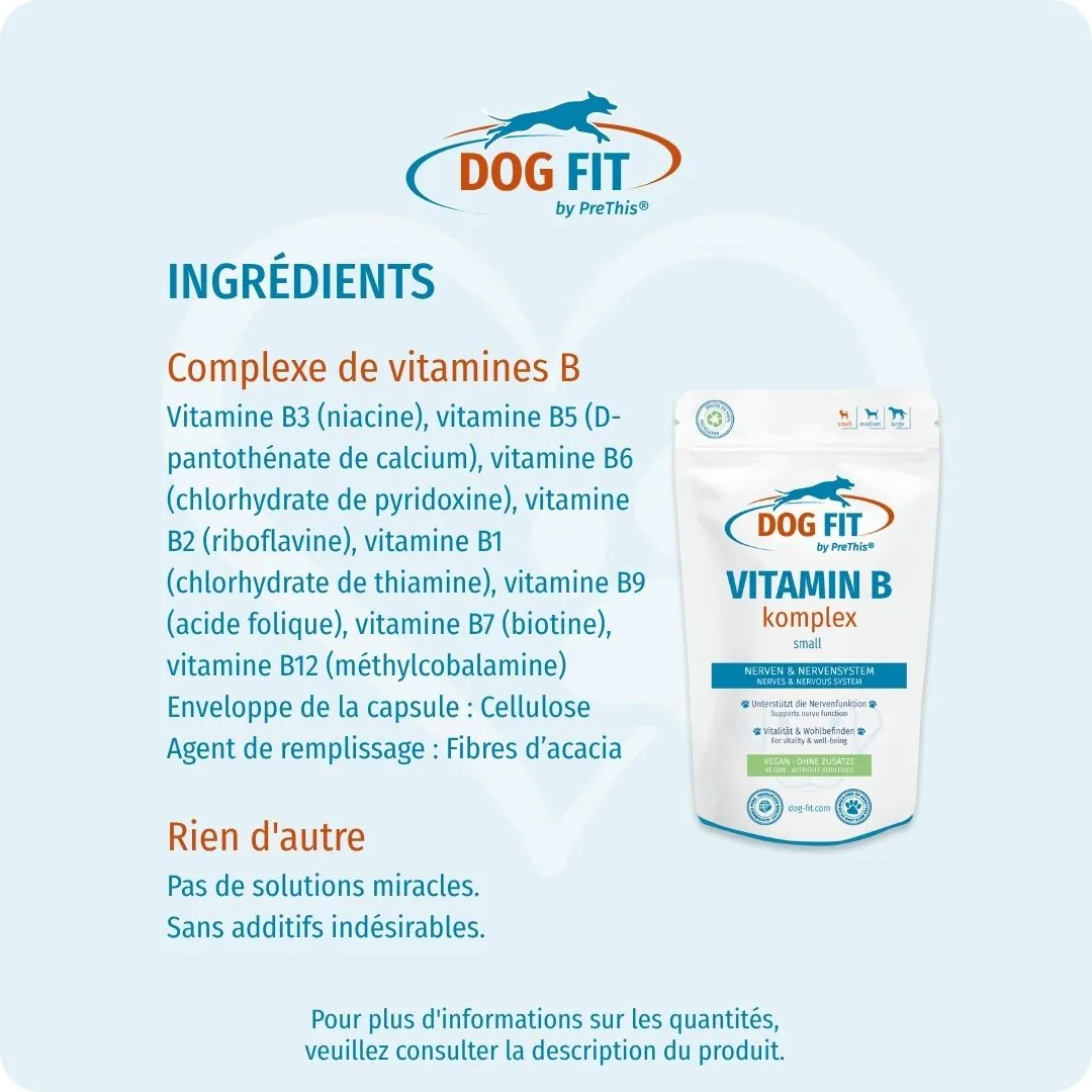 DOG FIT by PreThis® – Ingrédients VITAMIN B small