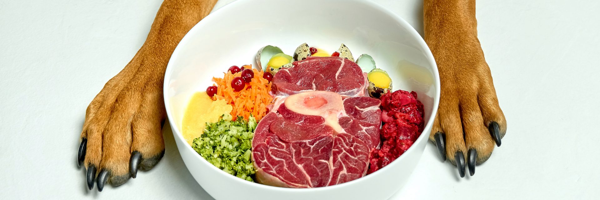 Ernährung – DOG FIT by PreThis®