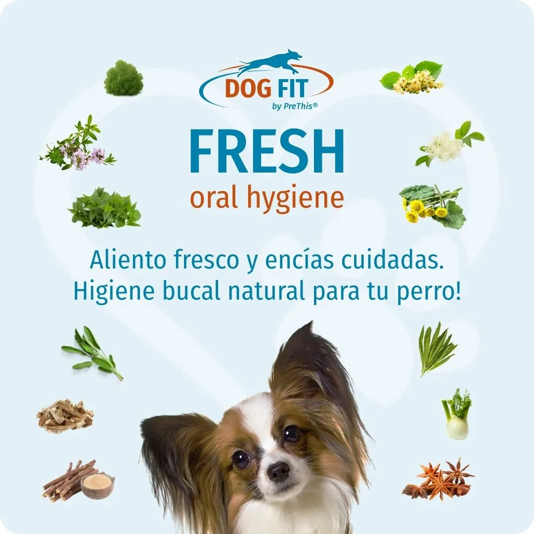 DOG FIT by PreThis® FRESH oral hygiene – Aliento fresco y encías cuidadas