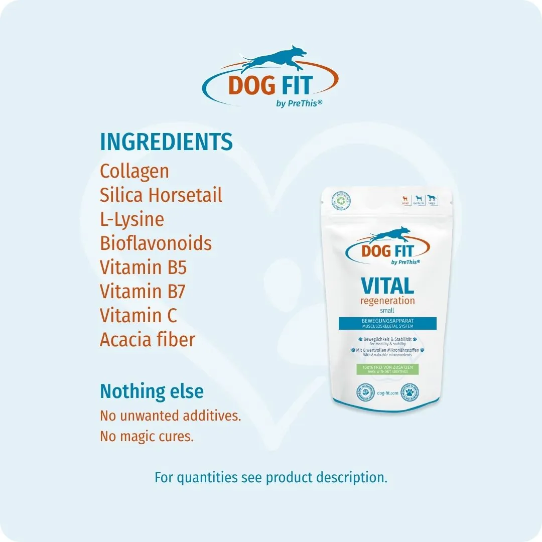 DOG FIT by PreThis® – Ingredients VITAL regeneration small