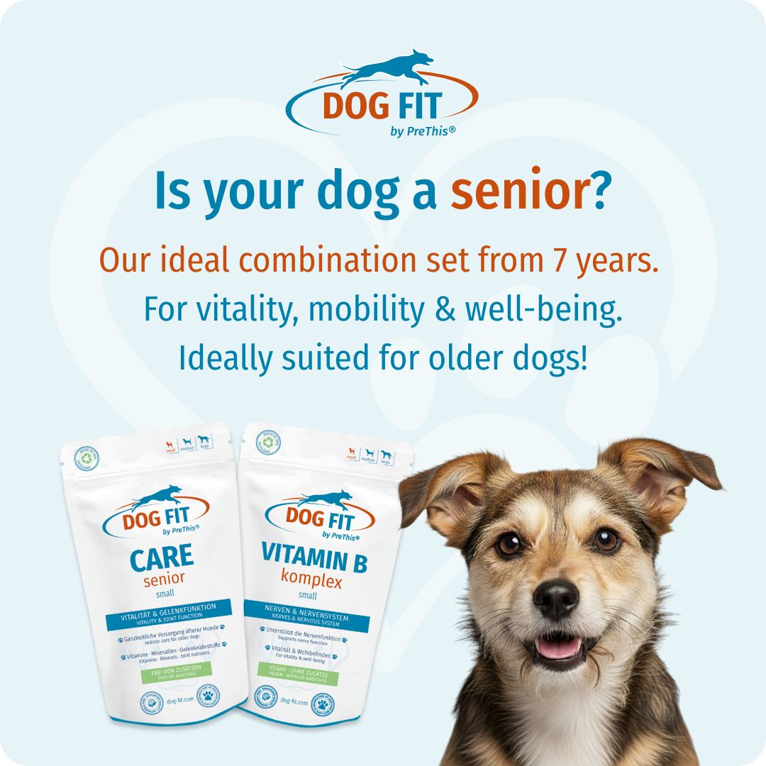 DOG FIT by PreThis® VITAMIN B & CARE senior