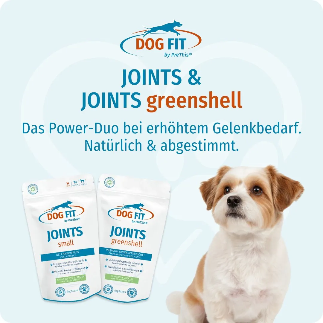 DOG FIT by PreThis® JOINTS greenshell & JOINTS small