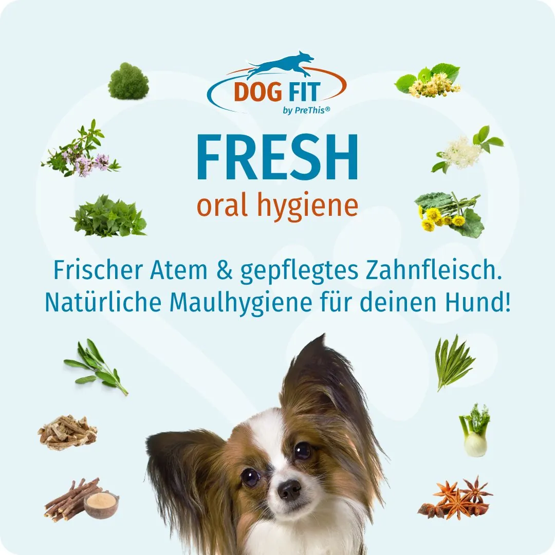 DOG FIT by PreThis® FRESH oral hygiene – Frischer Atem und gepflegtes Zahnfleisch