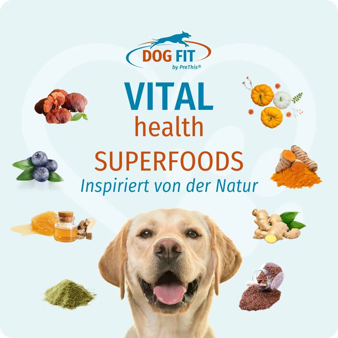 DOG FIT by PreThis® VITAL health small – Superfoods, inspiriert von der Natur