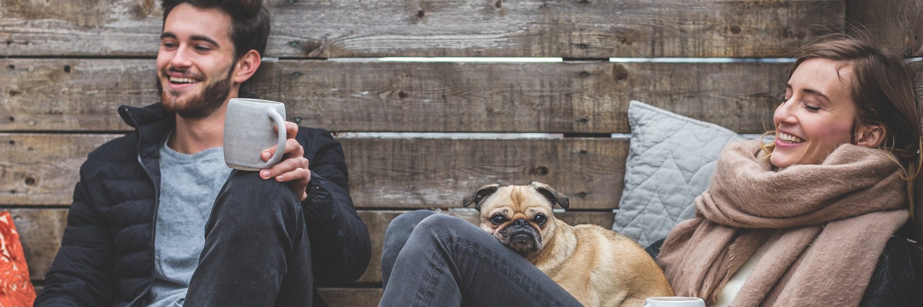 Wissenswertes – DOG FIT by PreThis®