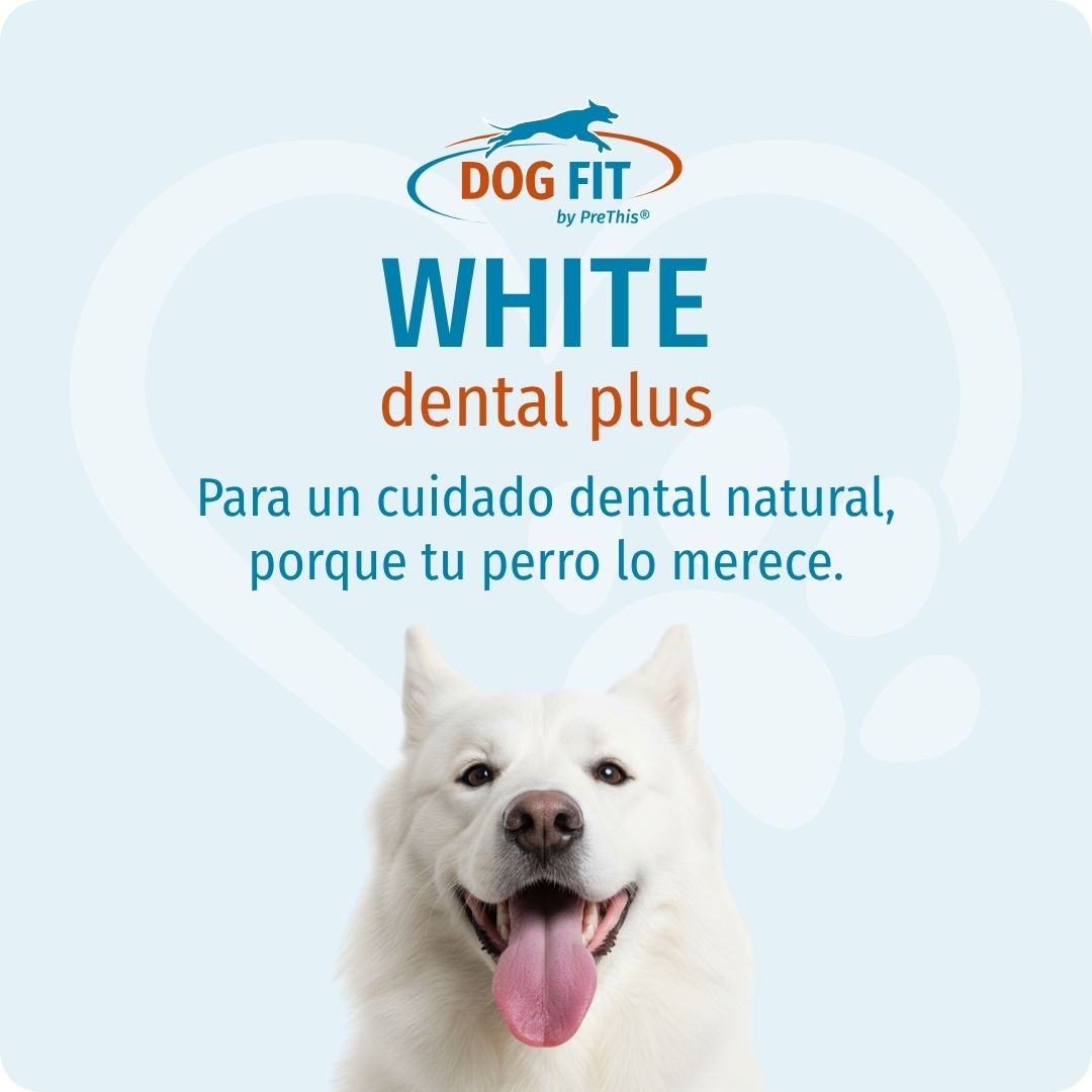 DOG FIT by PreThis® WHITE dental plus – Para un cuidado dental natural