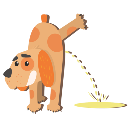 Mein Hund macht Pipi vor Freude – Was kann ich tun?