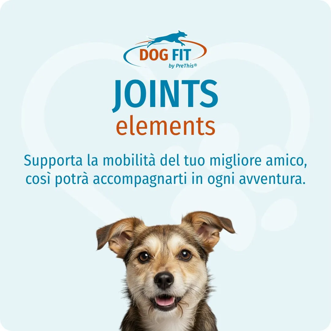 DOG FIT by PreThis® JOINTS elements small – Articolazioni forti per i vostri percorsi insieme