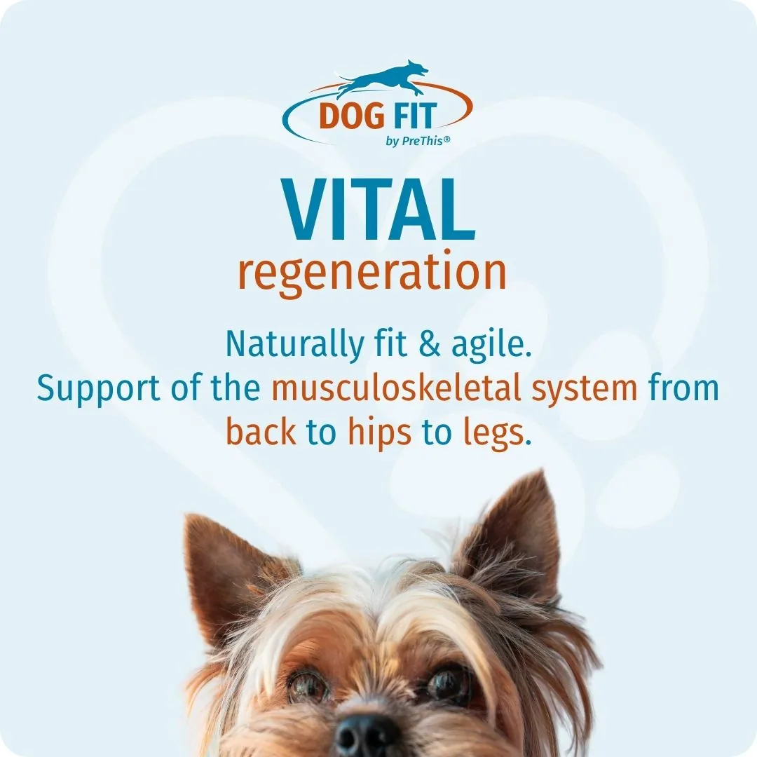 DOG FIT by PreThis® VITAL regeneration small – Naturally fit and agile