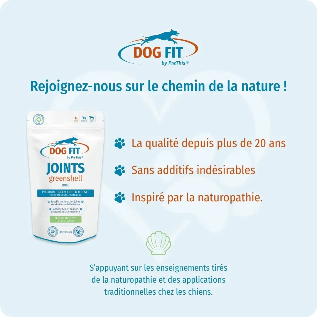 DOG FIT by PreThis® JOINTS greenshell small – Qualité et ingrédients naturels