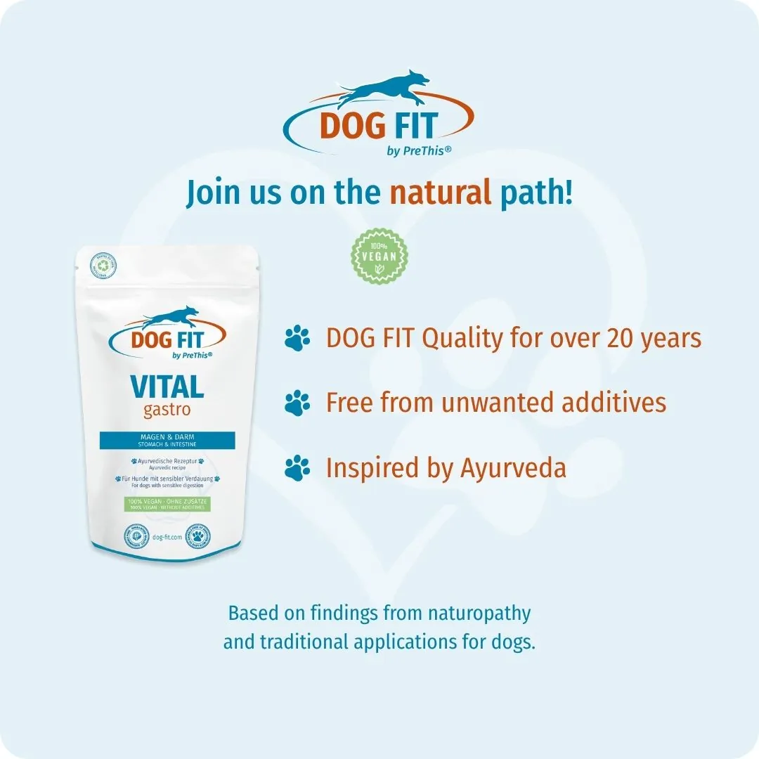 DOG FIT by PreThis® VITAL gastro – Quality and natural ingredients