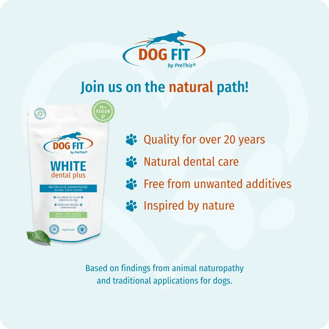 DOG FIT by PreThis® WHITE dental plus – Quality and natural ingredients