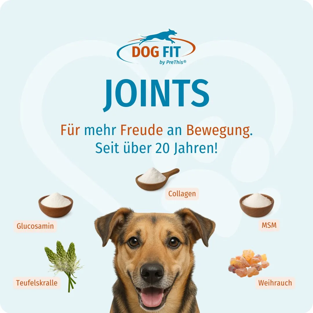 DOG FIT by PreThis® JOINTS medium – Für mehr Freude an Bewegung