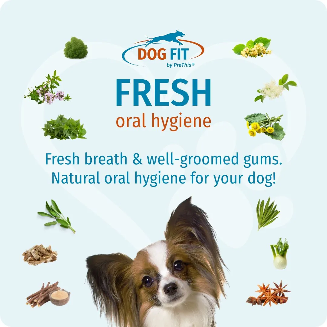 DOG FIT by PreThis® FRESH oral hygiene – Fresh breath and well-cared-for gums