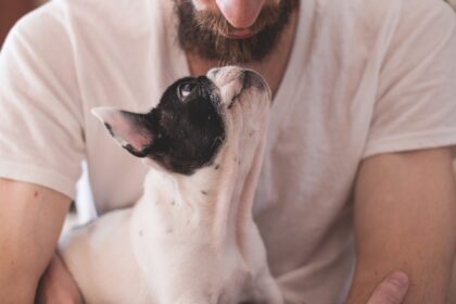 Tiere sind unsere liebsten Begleiter