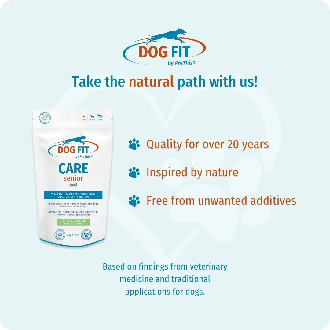 DOG FIT by PreThis® CARE senior small – Quality and natural ingredients