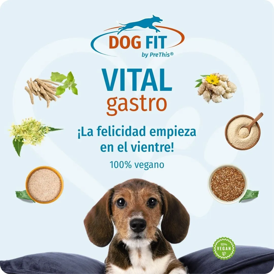 DOG FIT by PreThis® VITAL gastro – ¡La felicidad empieza en la barriga!