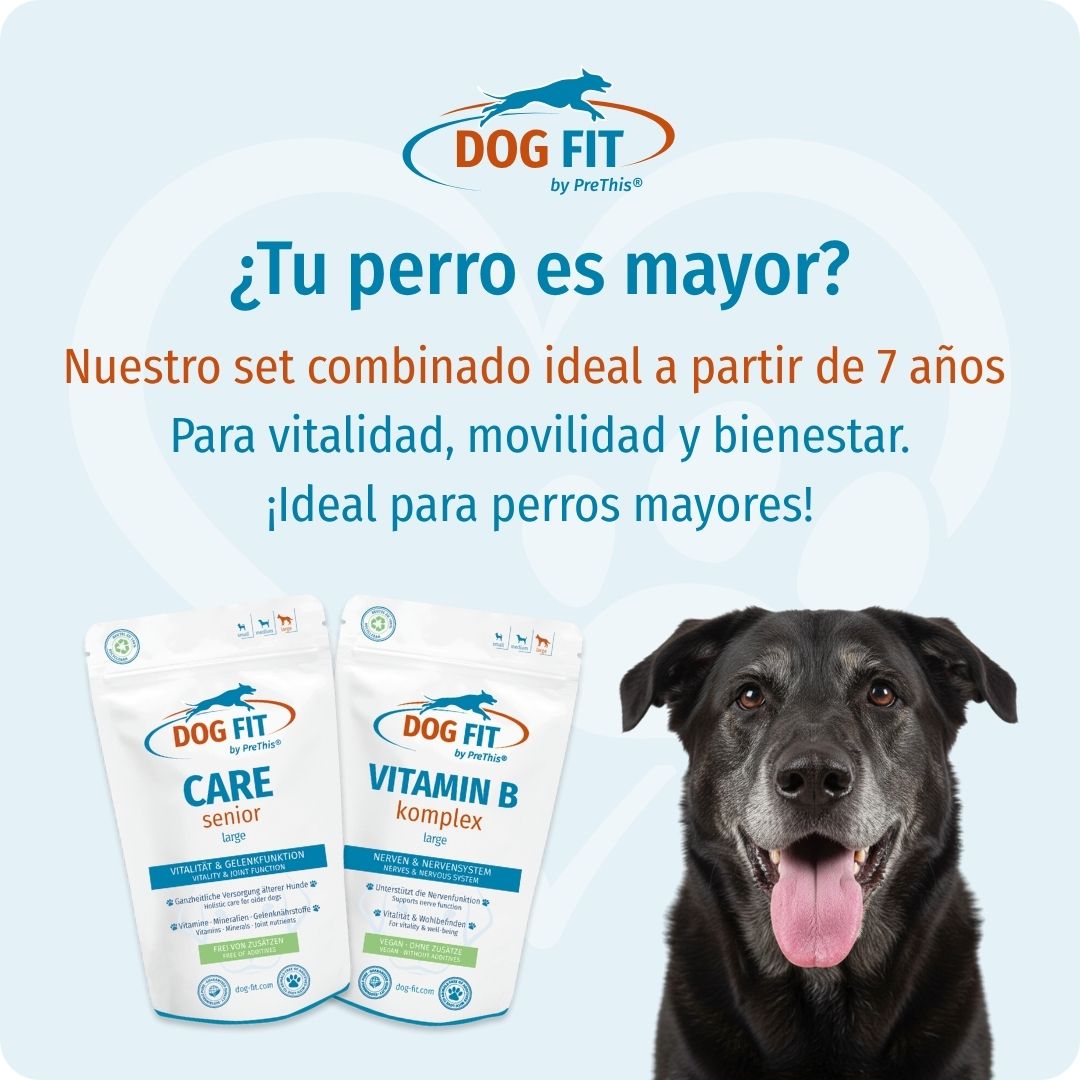 DOG FIT by PreThis® VITAMIN B & CARE senior