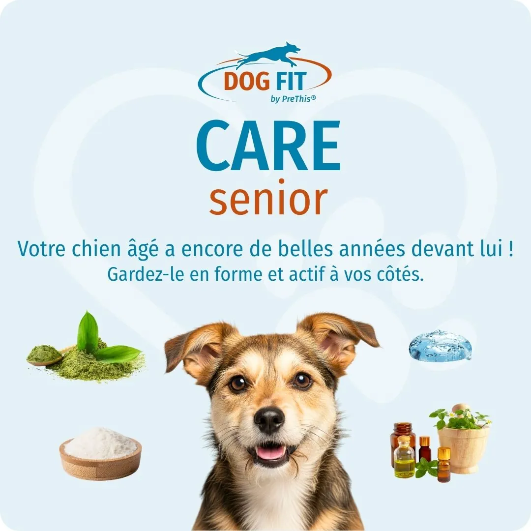 DOG FIT by PreThis® CARE senior small, Vitalitätskur für ältere Hunde