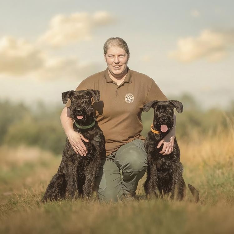 Orthopaedics and rehabilitation technology for dogs