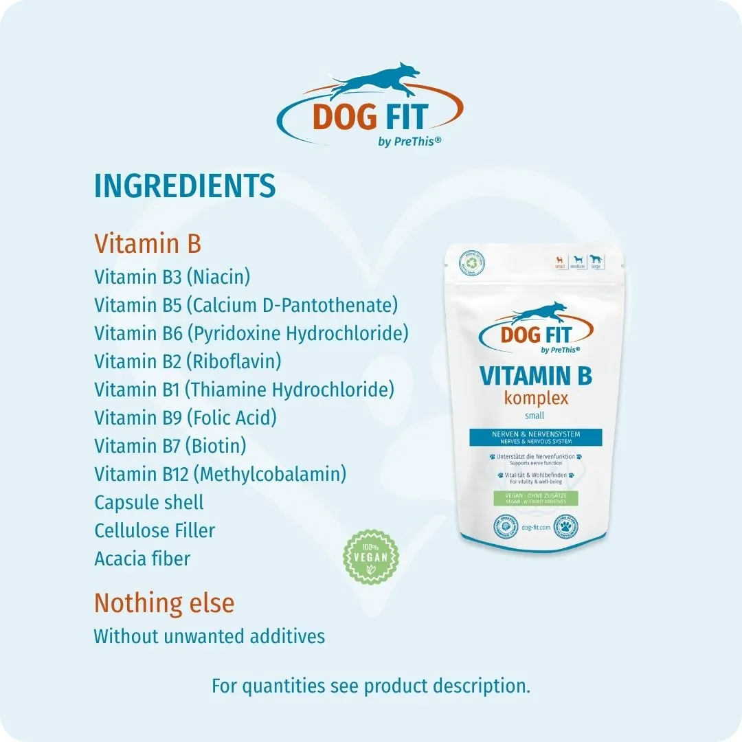 DOG FIT by PreThis® – Ingredients VITAMIN B small