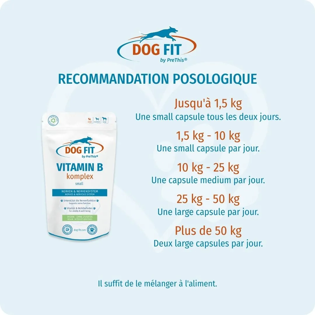 DOG FIT by PreThis® – Recommandation de dosage VITAMIN B small