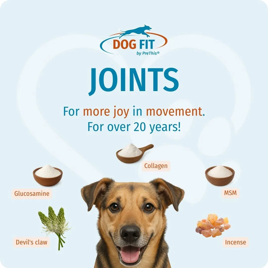 DOG FIT by PreThis® JOINTS medium – For more joy in movement